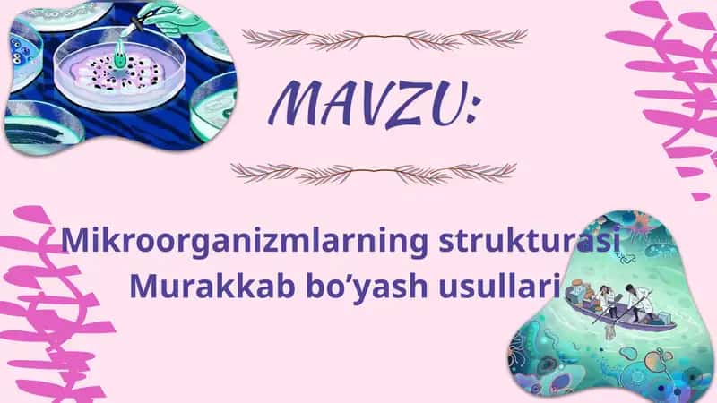 Mikroorganizmlarning strukturasi. Murakkab bo'yash usullariari