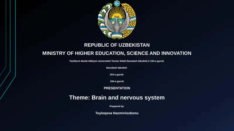 BRAIN AND NERVOUS SYSTEM