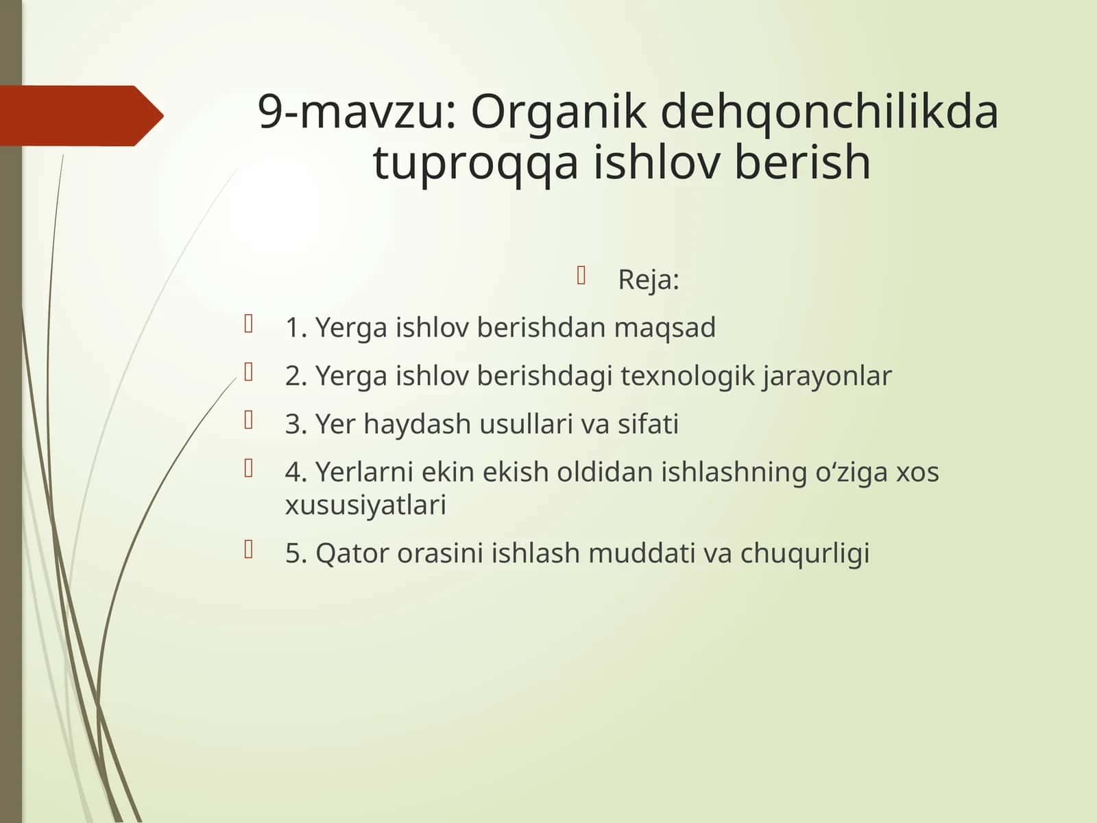Оrgаnik dеhqоnchilikdа tuprоqqа ishlоv bеrish