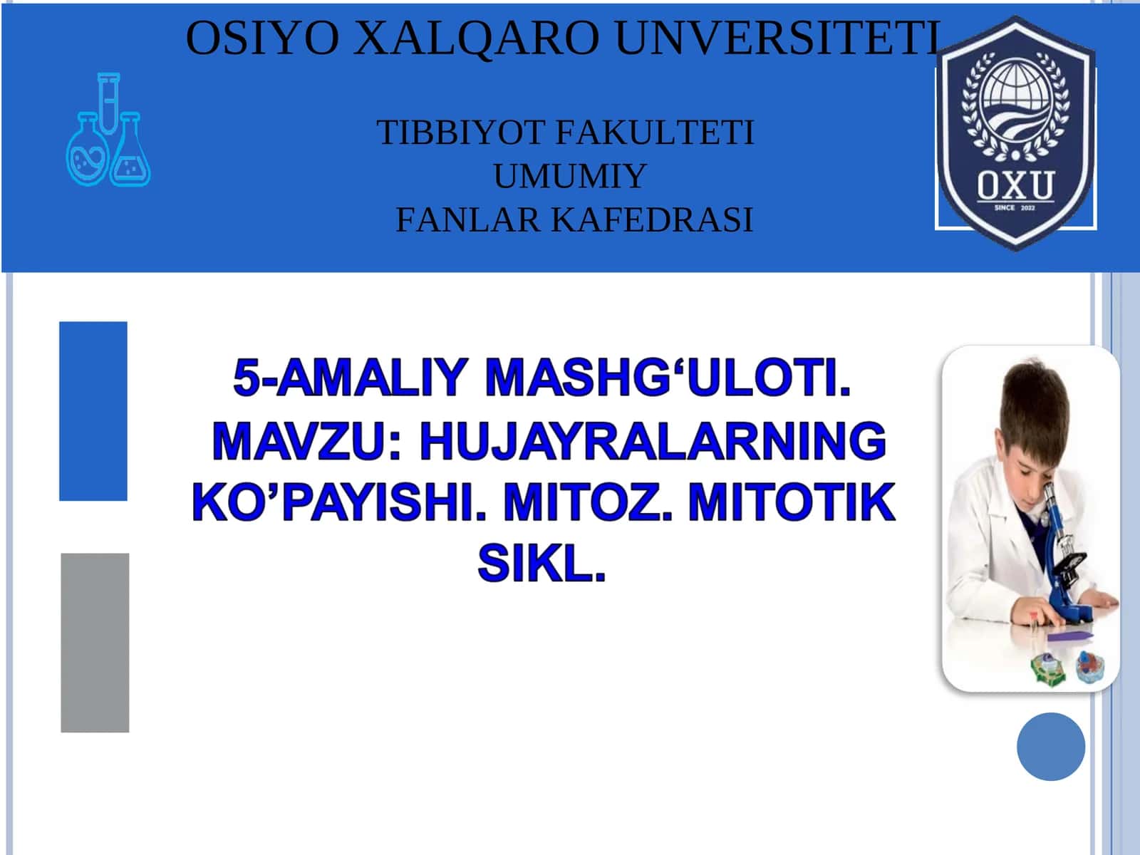 MITOZ SIKLI DEB HUJAYRANING BO‘LINISHGA TAYYORGARLIK DAVRI HAMDA MITOZBOSQICHLARINI DAVOM ETISHIGA AYTILADI