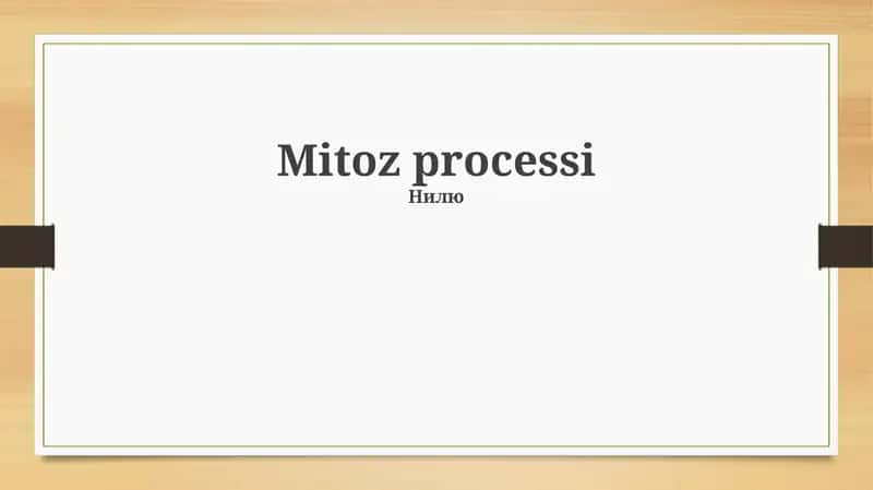 Mitoz processi