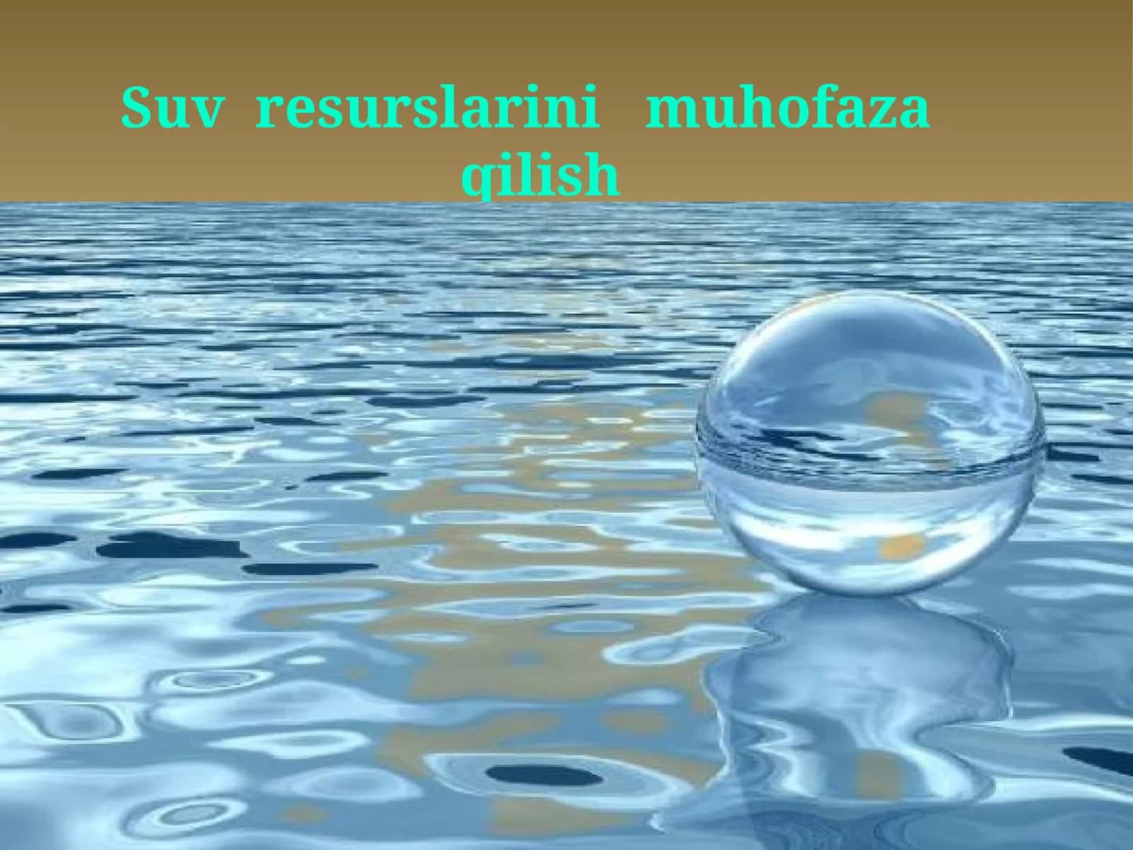 Suvresurslarini muhofaza qilish
