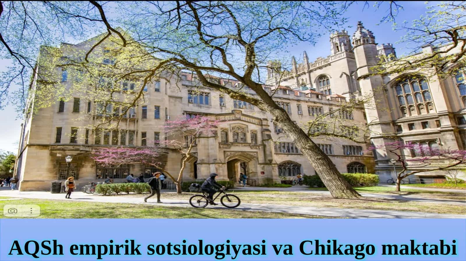 AQSh empirik sotsiologiyasi va Chikago maktabi