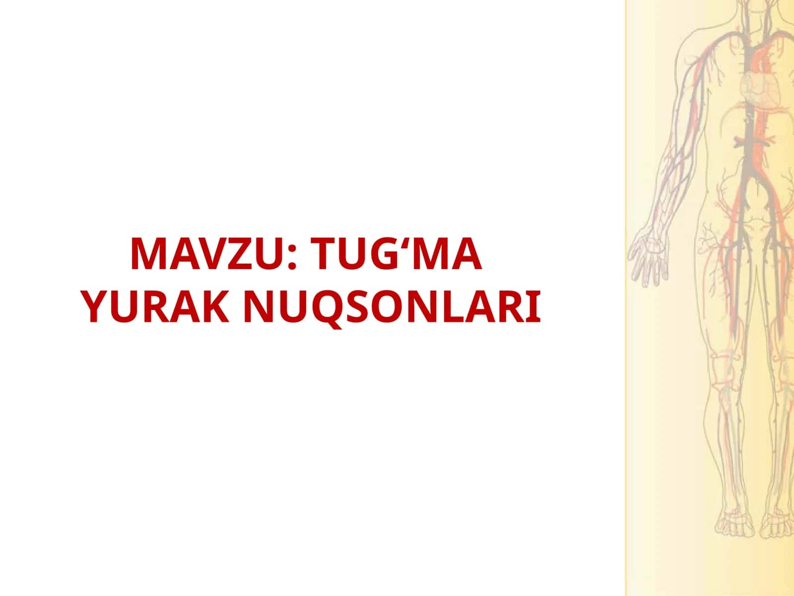 TUG‘MA YURAK NUQSONLARI