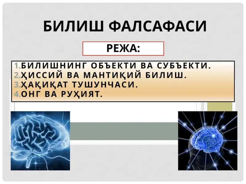 БИЛИШ ФАЛСАФАСИ