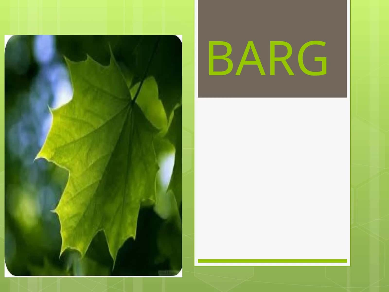 BARG