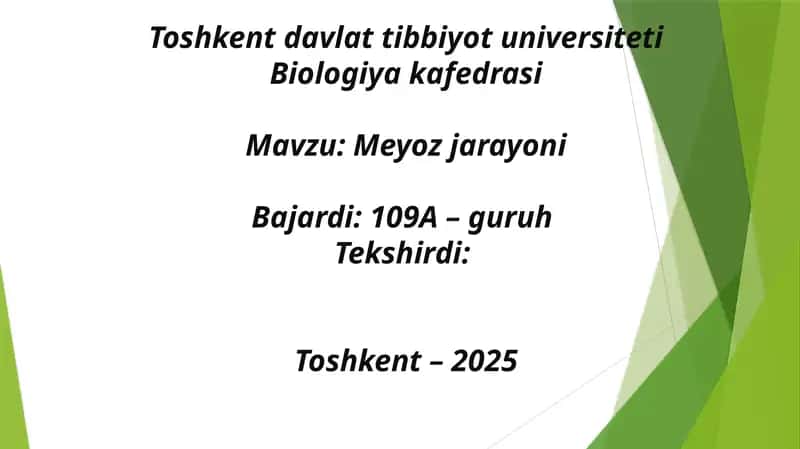 Meyoz jarayoni