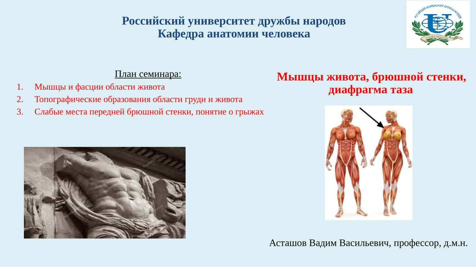 Мышцы живота, брюшной стенки, диафрагма таза