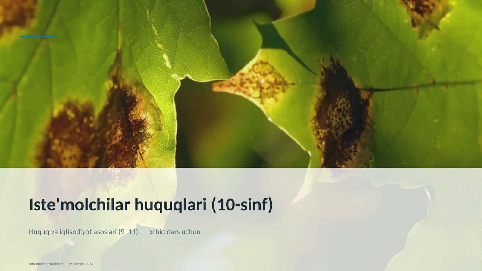 Iste'molchilar huquqlari (10-sinf)