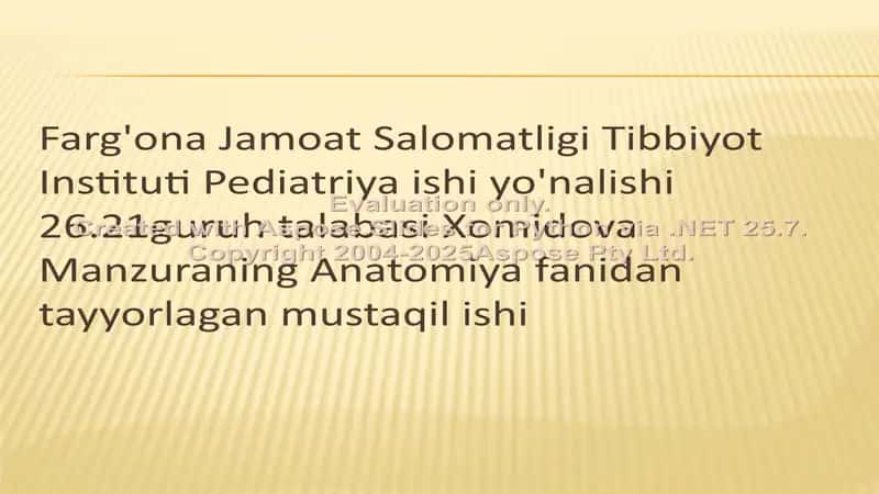 Bo'sh miya pўstloғi. Bo'sh miya utkazuv yullari