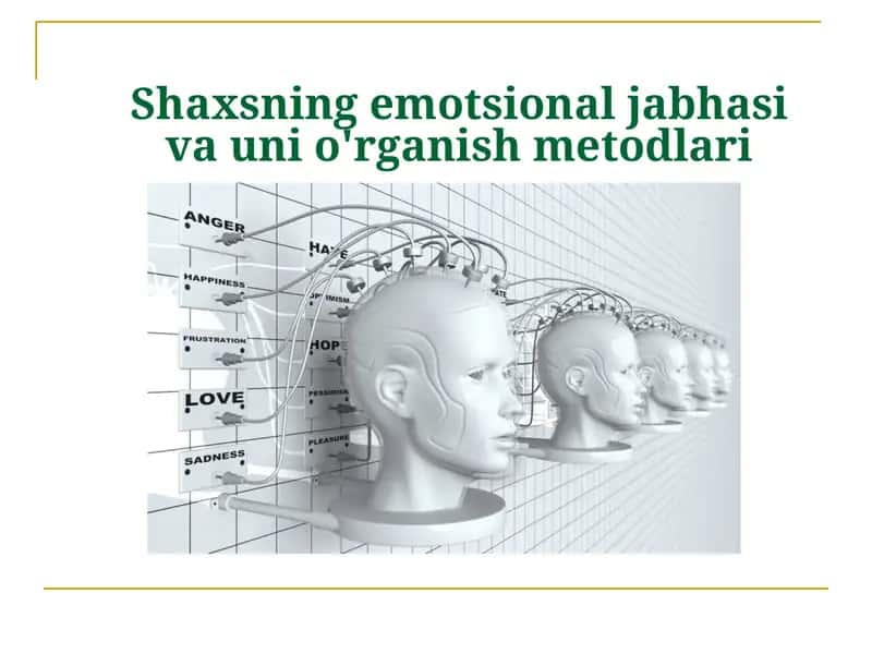 Shaxsning emotsional jabhasi va unga o'rganish metodlari
