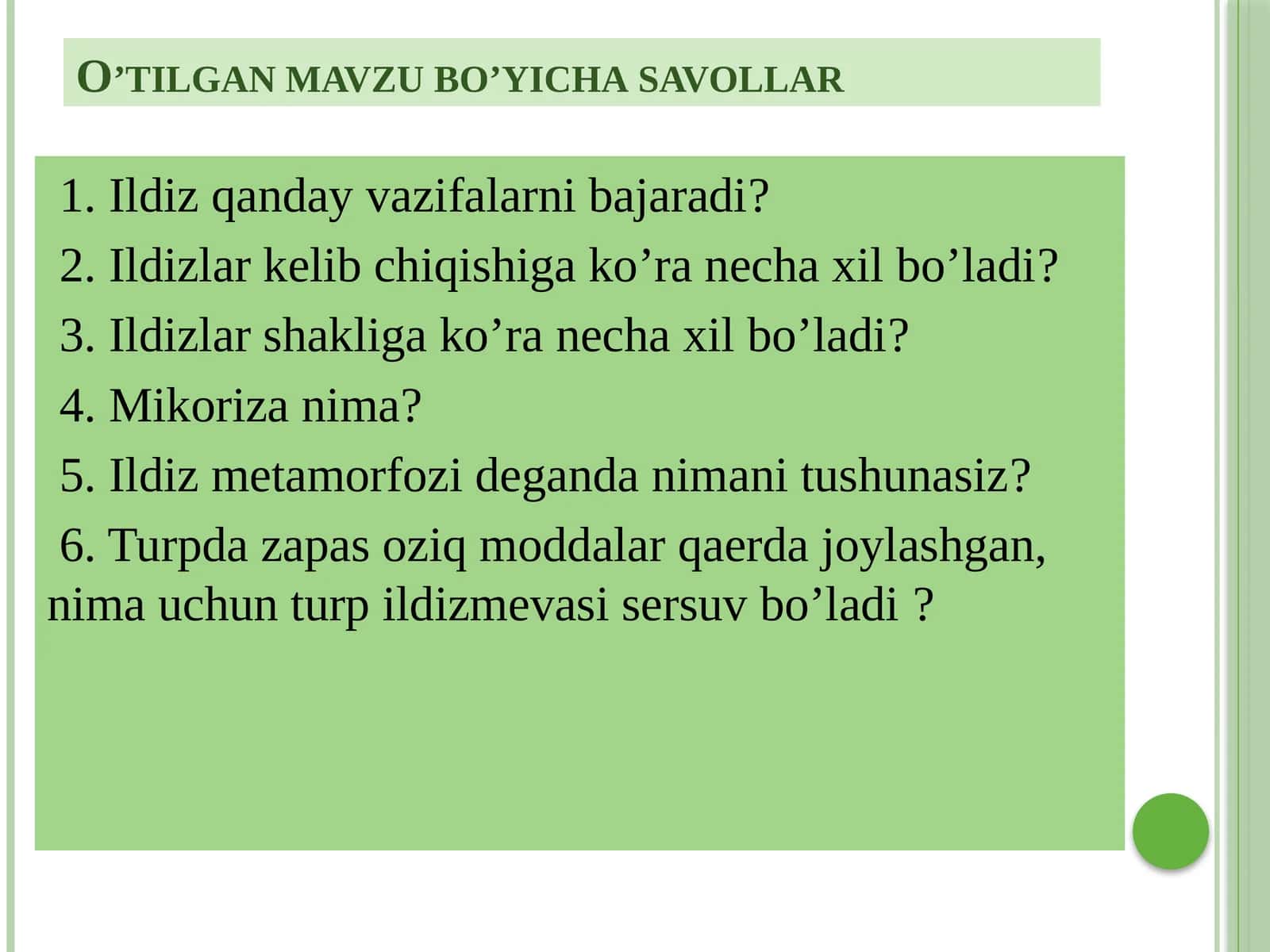 Klaster texnologiyasida ildizning anatomik tuzilishi