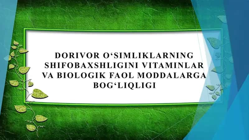Dorivor oʻsimliklarning shifobaxshligini vitaminlar va biologik faol moddalarga bogʻliqligi