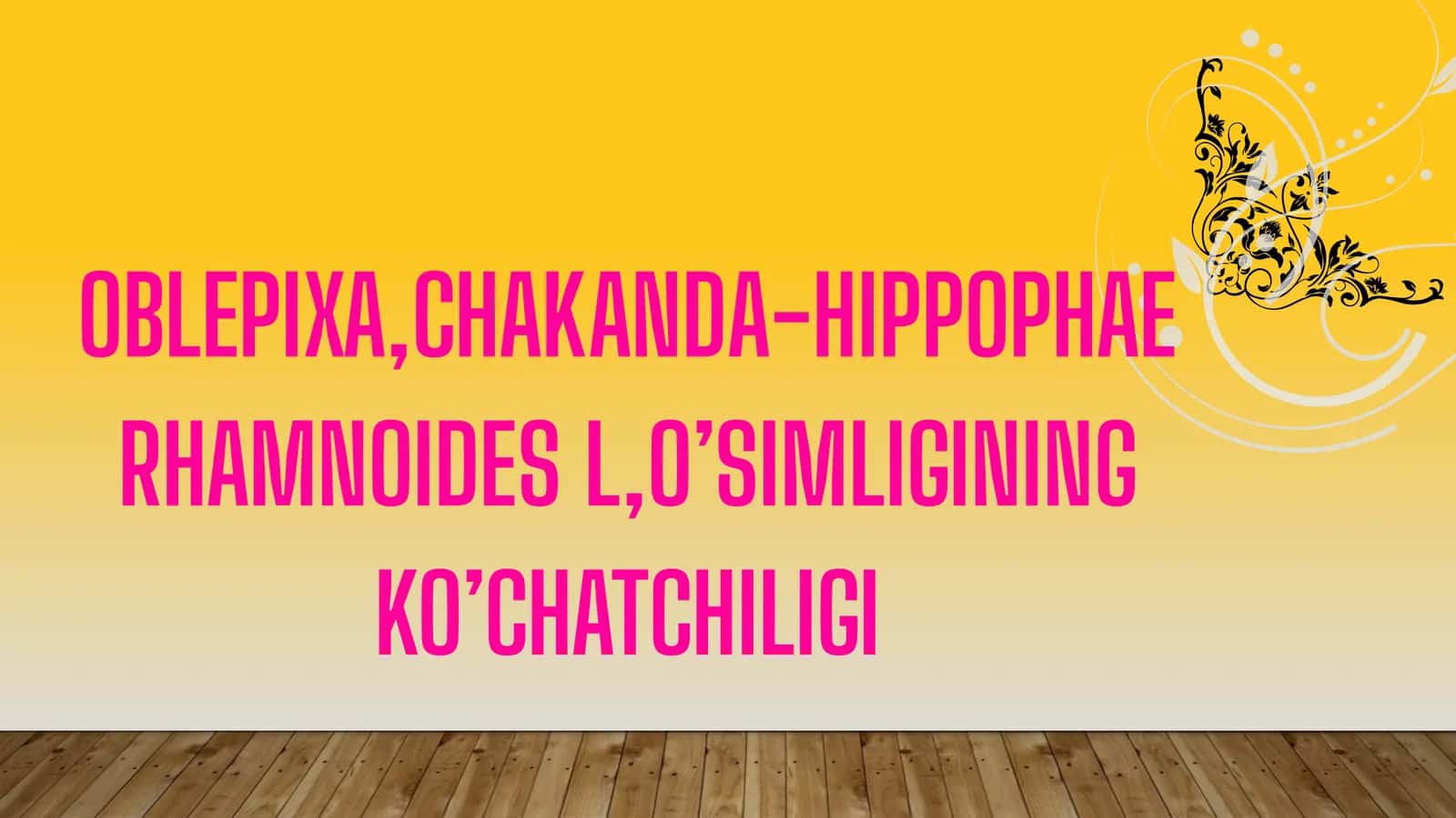 Oblepixa-Hippophae rhamnoides L o'simligi