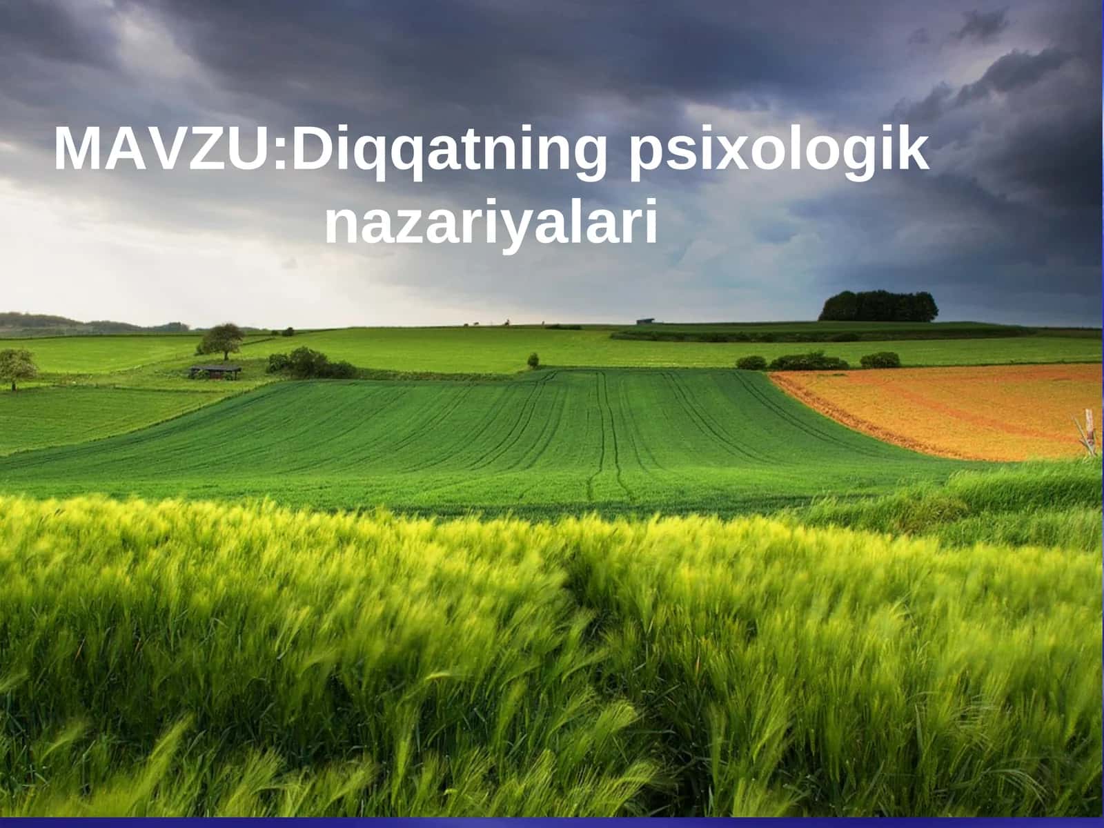 Diqqatning psixologik nazariyalari