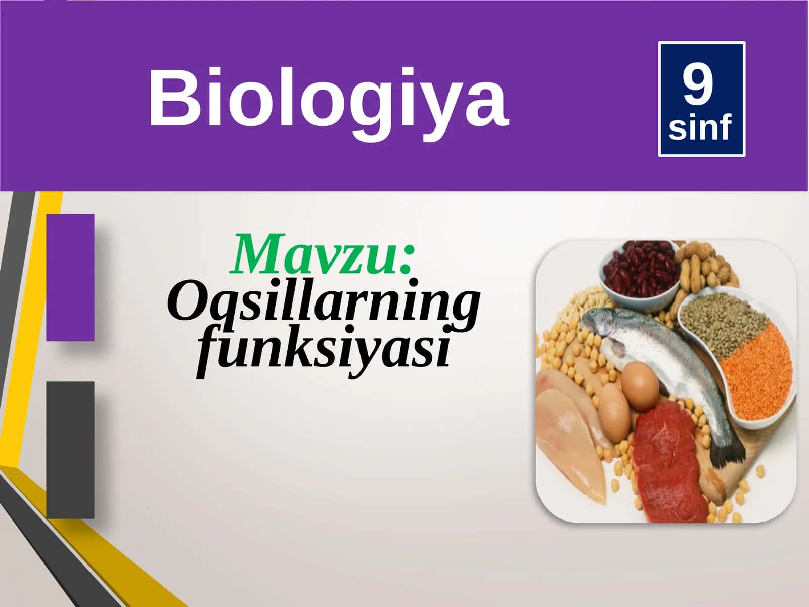 Biologiya 9-sinf Oqsillarning funksiyasi