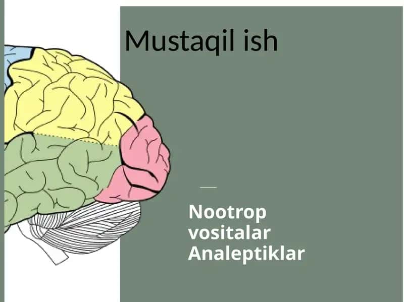 Nootrop vositalar Analeptiklar