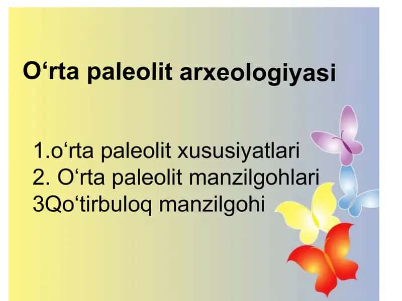 Paleolit davri