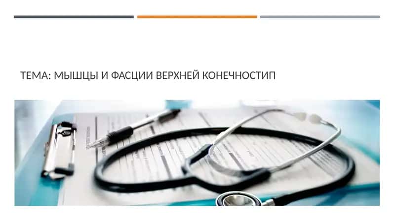 Мышцы и Фасции ВерхнейКонечности
