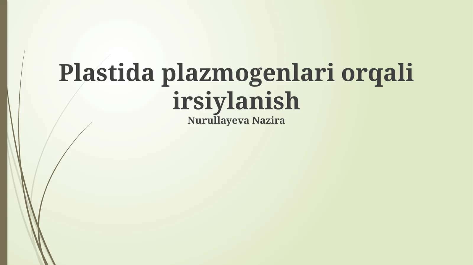 Plastida plazmogenlari orqali irsiylanish
