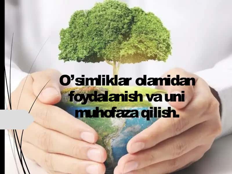 O'simliklar olamidan foydalanish va muhofaza qilish