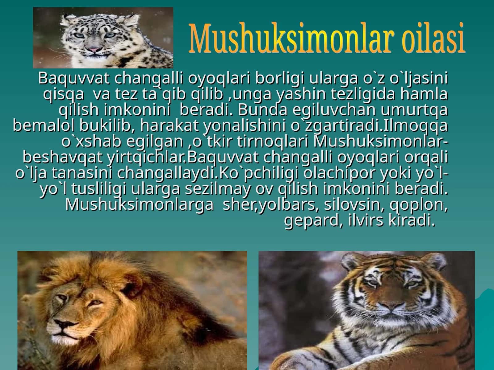Baquvvat changalli oyoqlari