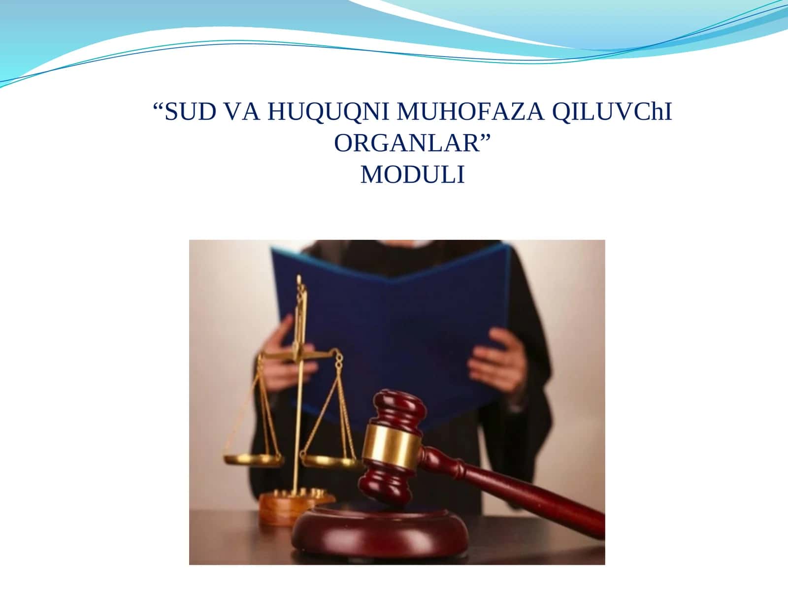 SUD VАHUQUQNI MUHOFАZАQILUVChIORGАNLАR