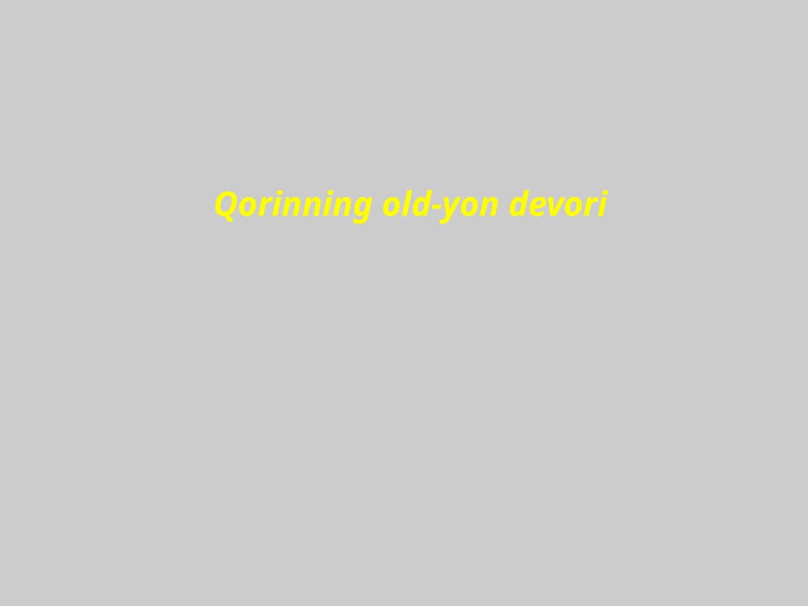Qorinning old-yon devori
