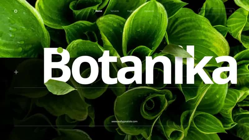 Tangirova Xadichaning botanika fanidan tayyorlagan taqdimoti