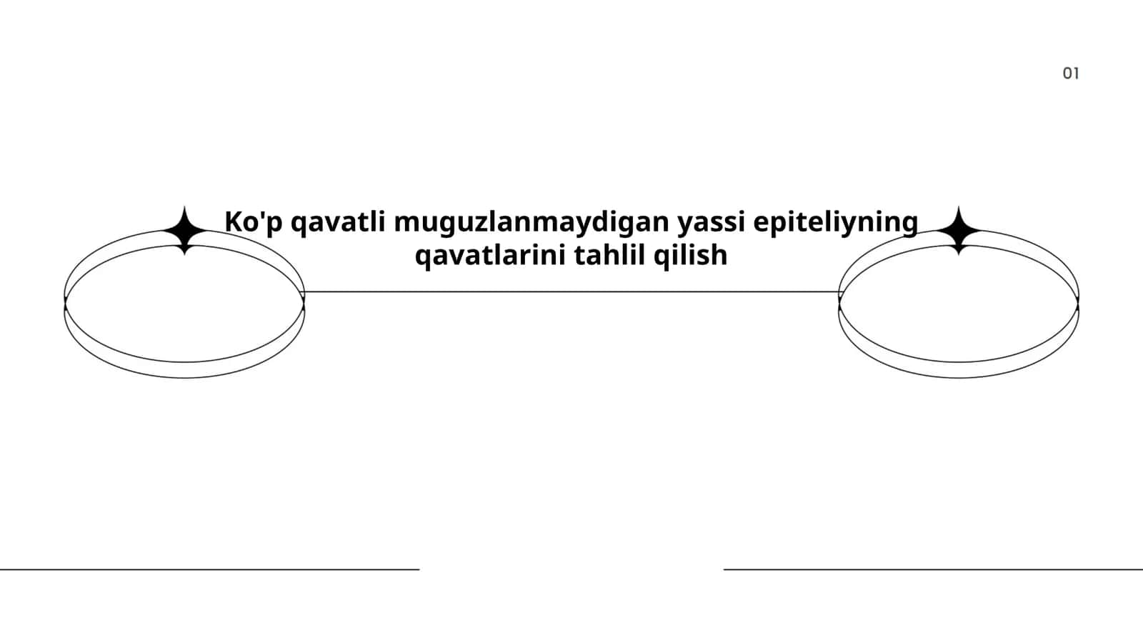 Ko'p qavatli muguzlanmaydigan yassi epiteliyning qavatlarini tahlil qilish