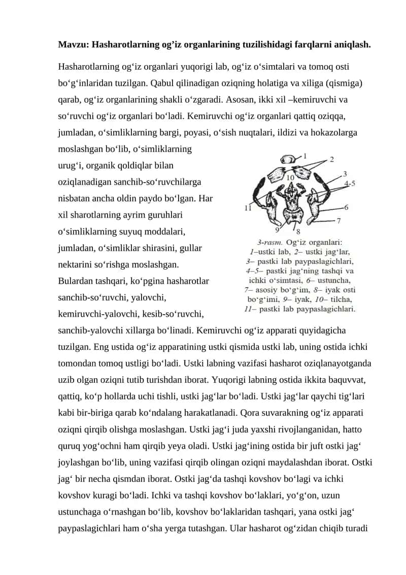 Hasharotlarning og’iz organlarining tuzilishidagi farqlarni aniqlash.