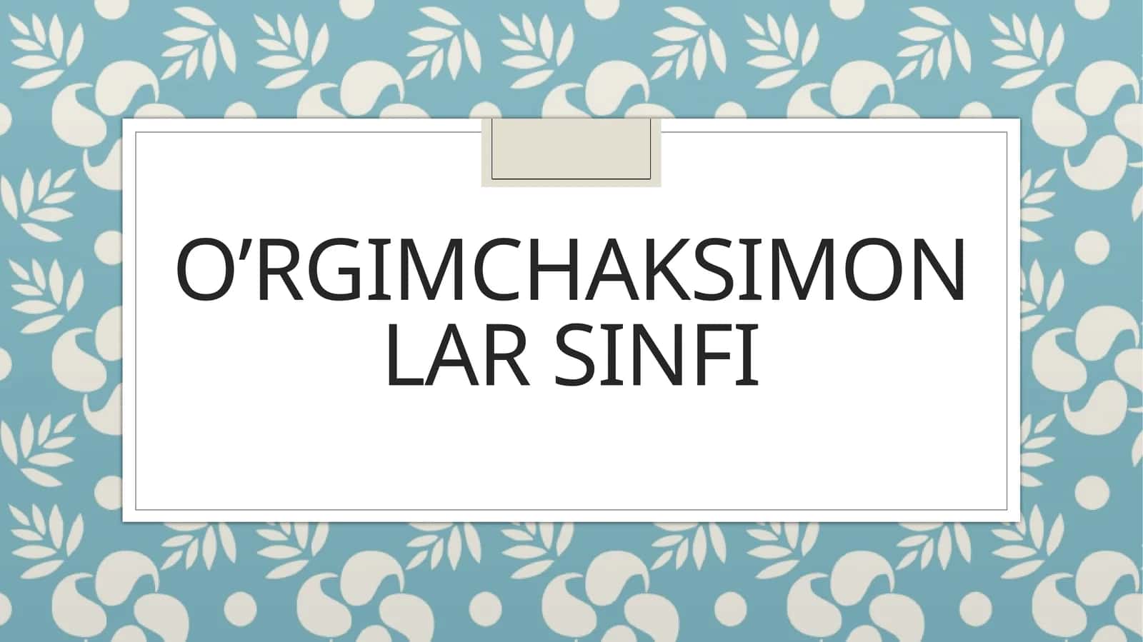 O’rgimchaksimonlar sinfi