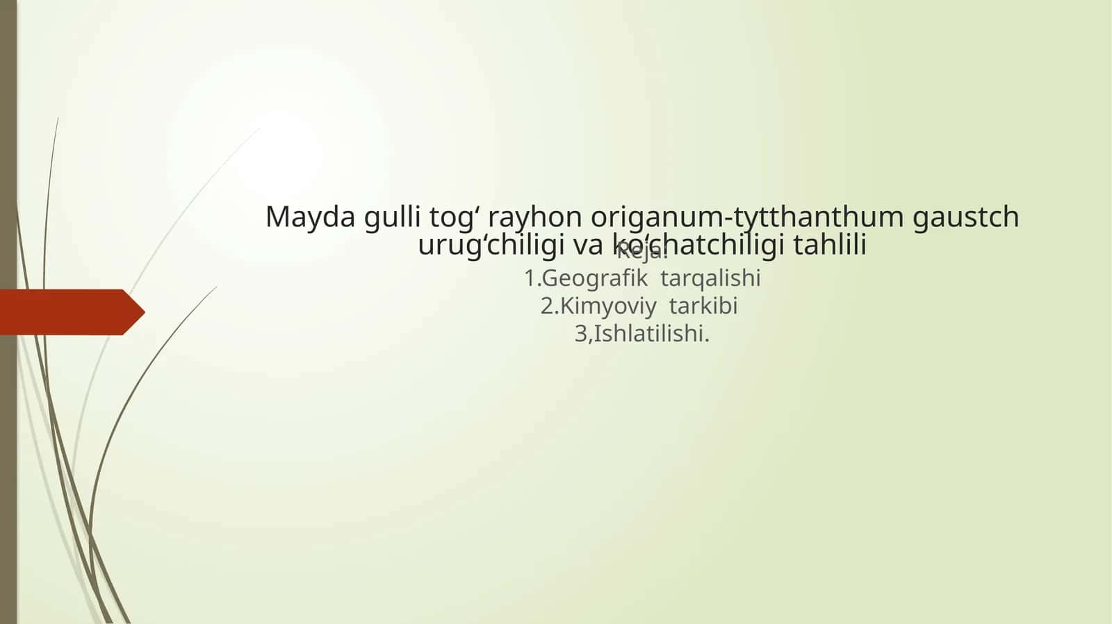 Mayda gulli tog‘ rayhon origanum-tytthanthum gaustch urug‘chiligi va ko‘chatchiligi tahlili
