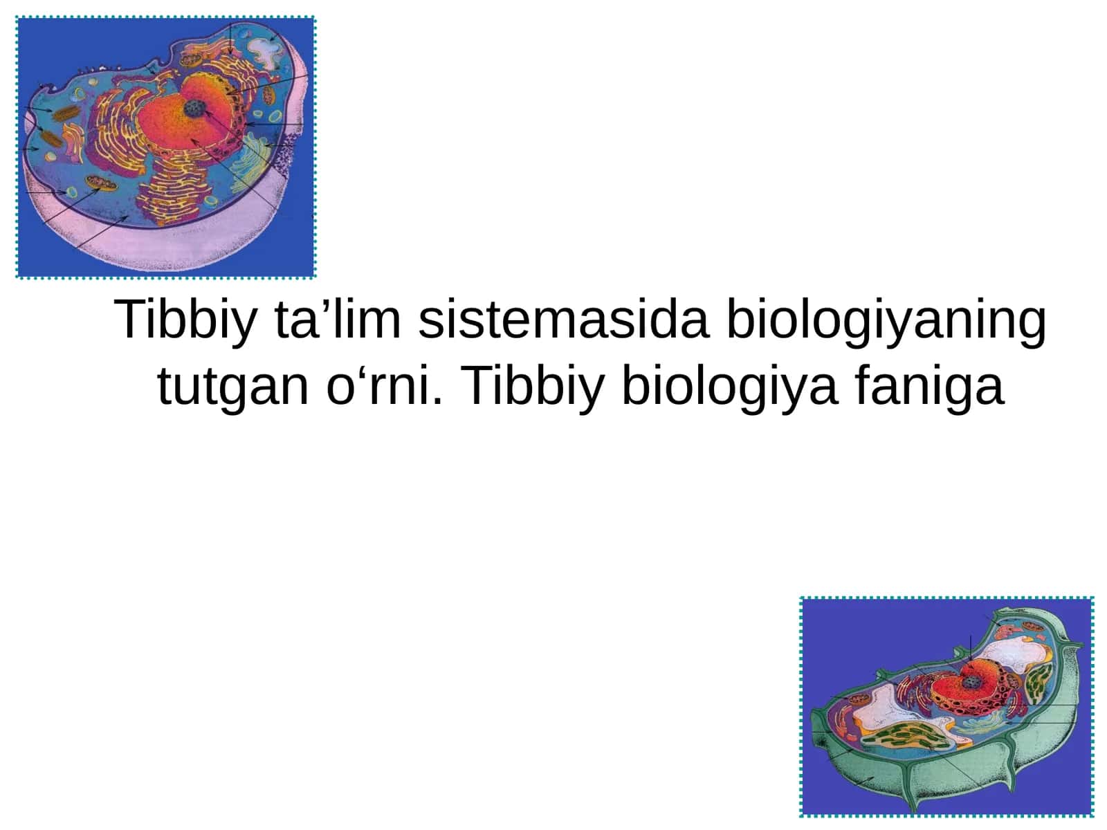 Tibbiy ta’lim sistemasida biologiyaning tutgan o‘rni. Tibbiy biologiya faniga