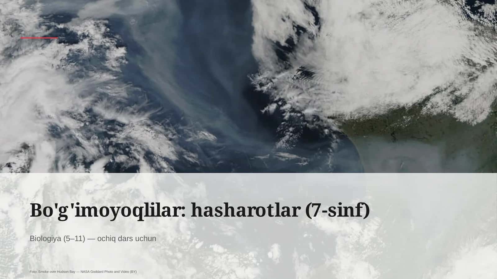 Bo'g'imoyoqlilar: hasharotlar (7-sinf)
