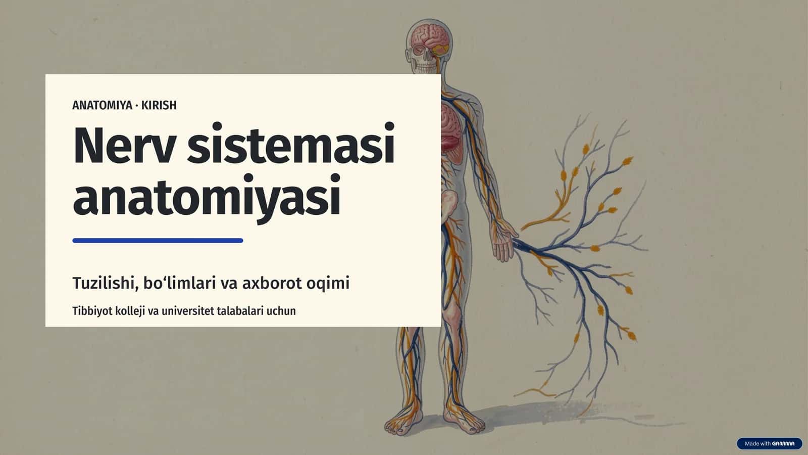 ANATOMIYA ·