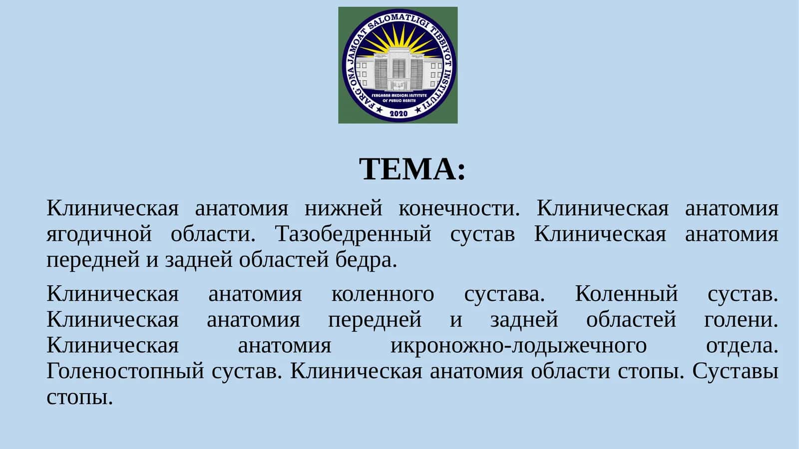 Клиническая анатомия нижней конечности