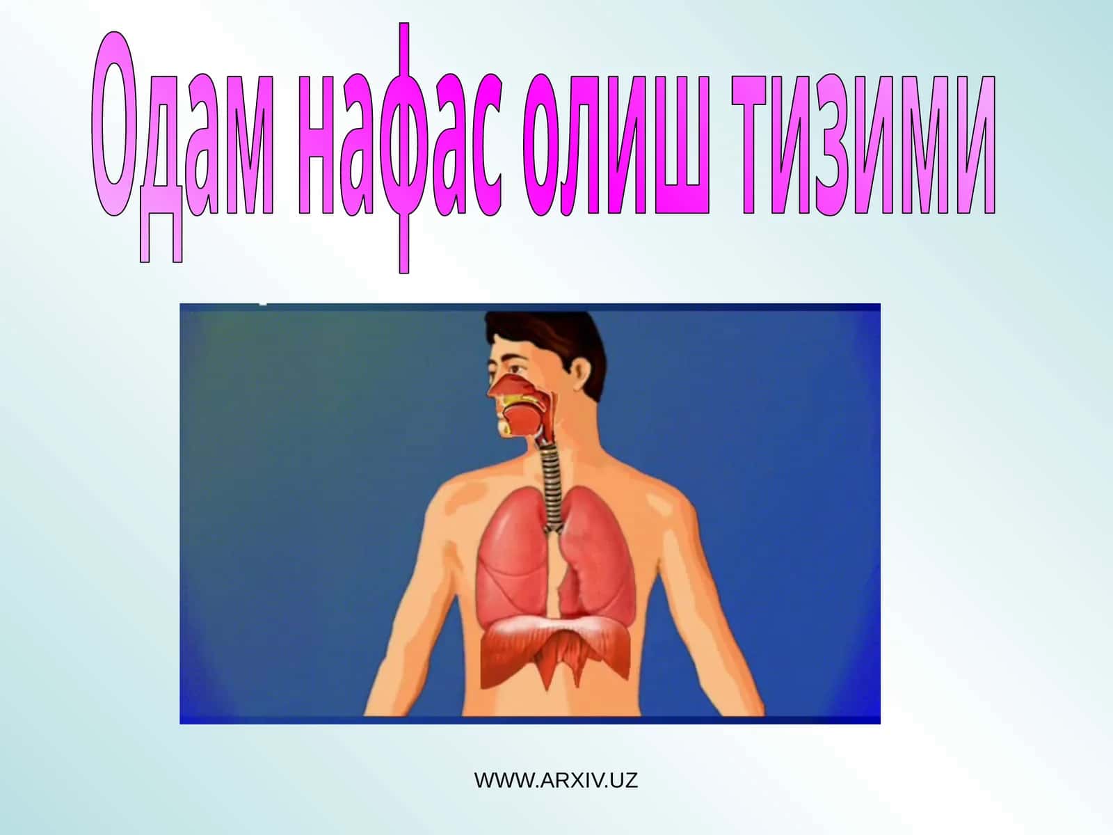 Одам нафас олиш тизими