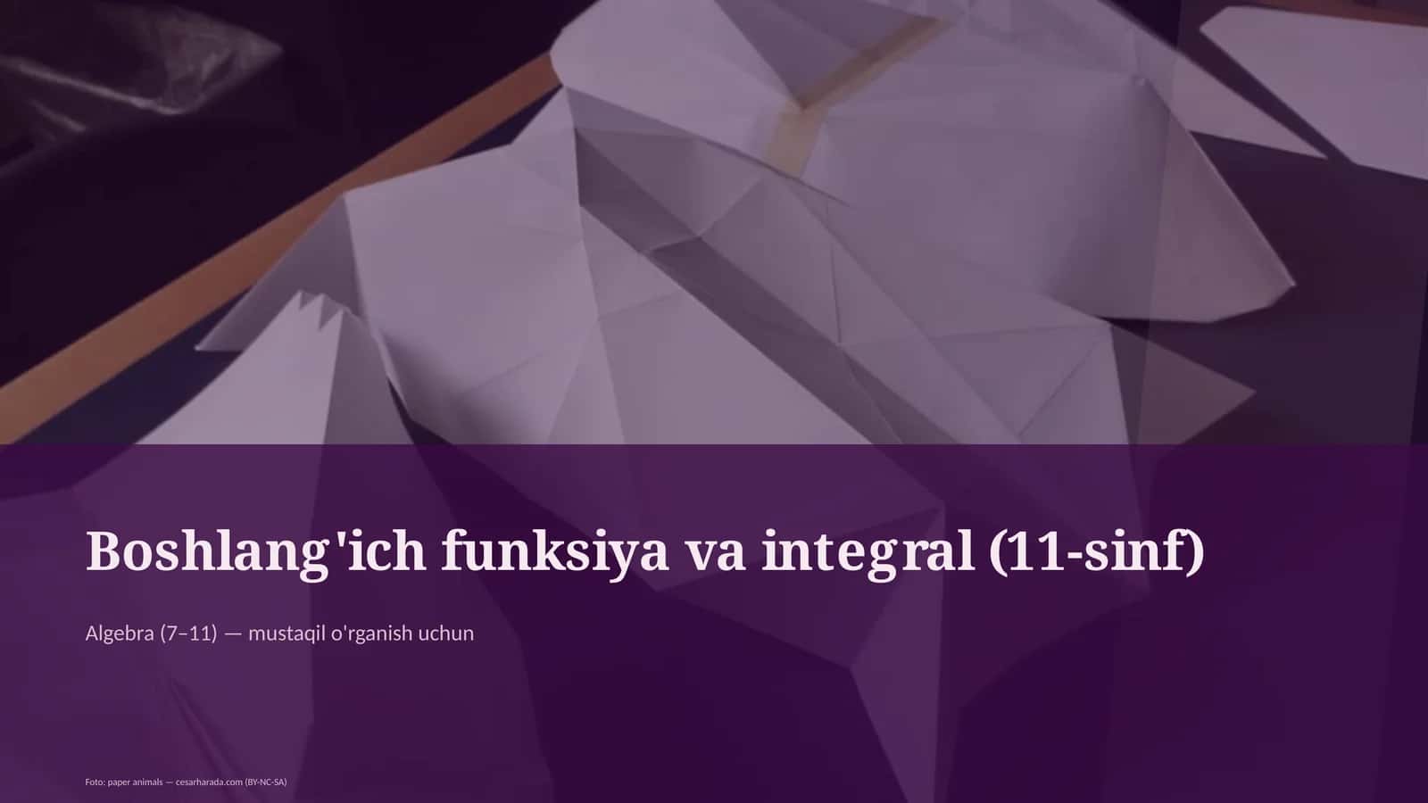 Boshlang'ich funksiya va integral (11-sinf)
