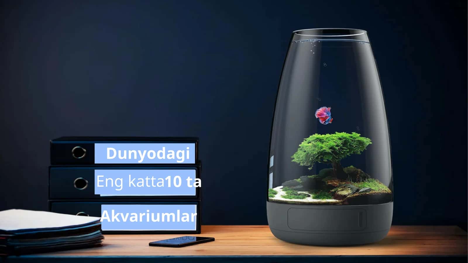 Engkatta 10 ta Dunyodagi Akvariumlar