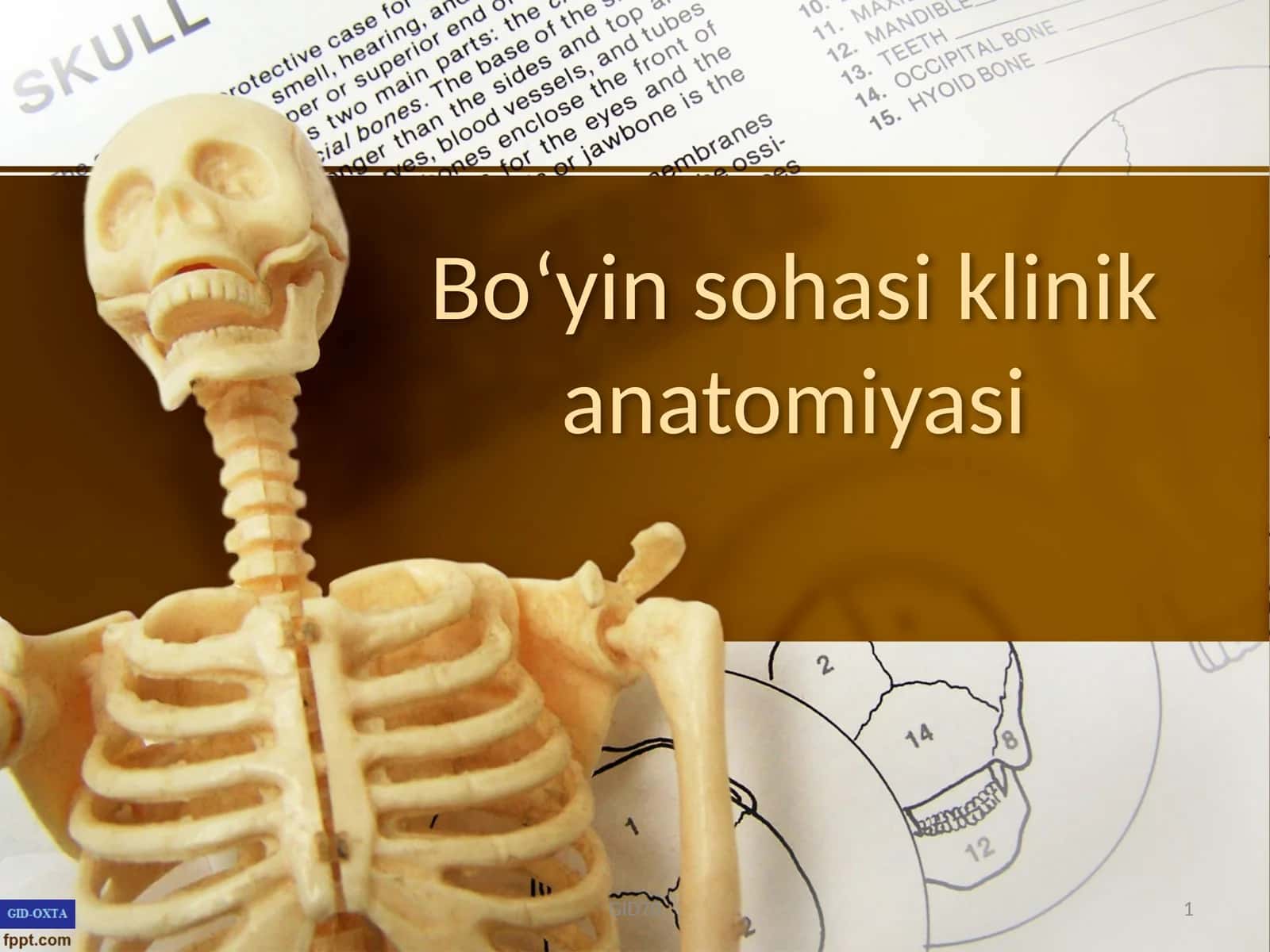 Boʻyin sohasi klinik anatomiyasi