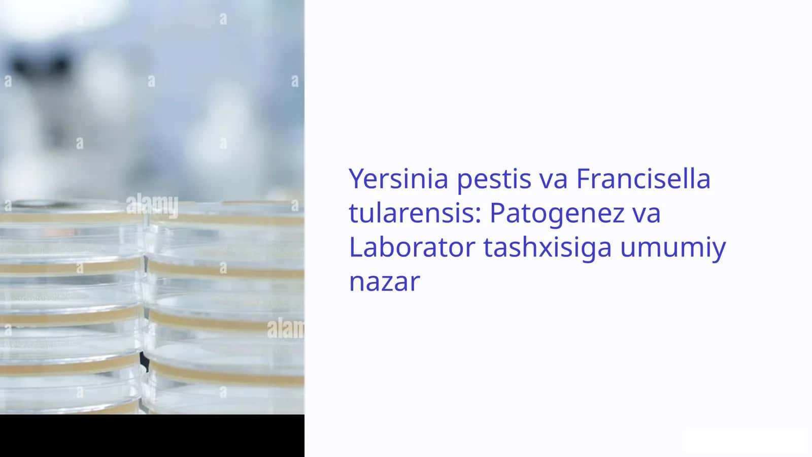 Yersinia pestis va Francisella tularensis: Patogenez va Laborator tashxisiga umumiy nazar