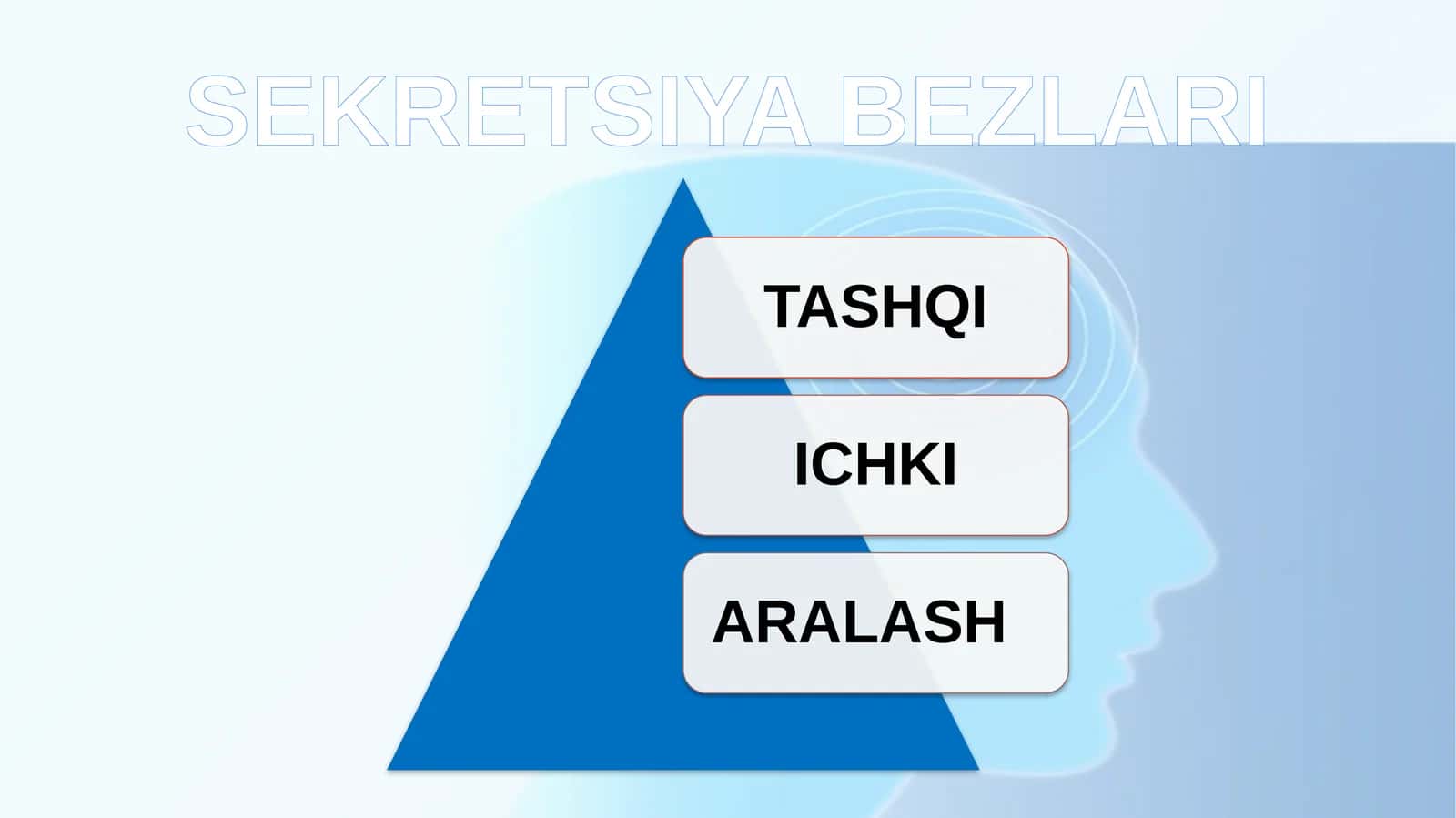TASHQI SEKRETSIYA BEZLARI