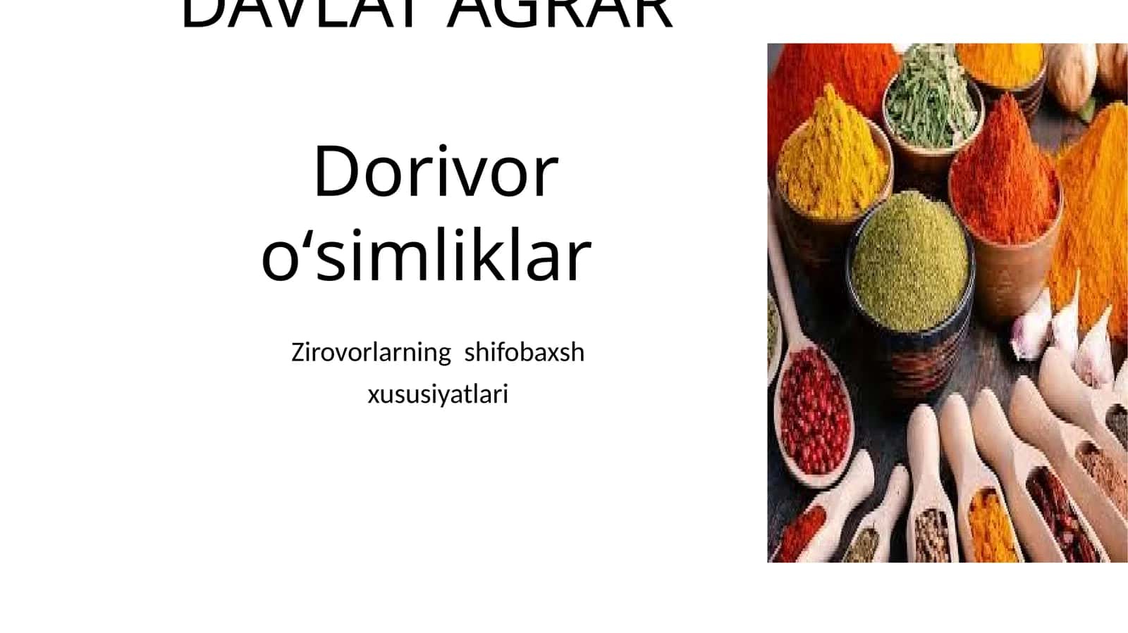 Ziravorlarning shifobaxshlik xususiyatlari