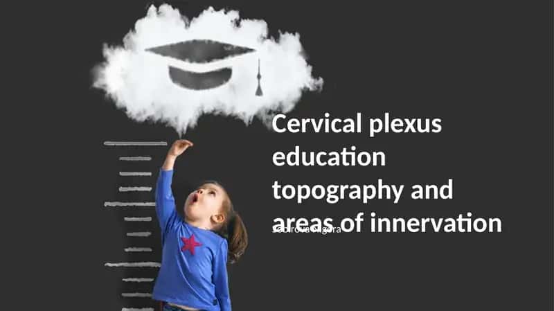 Cervical Plexus Education Topography and Areas of Innervation