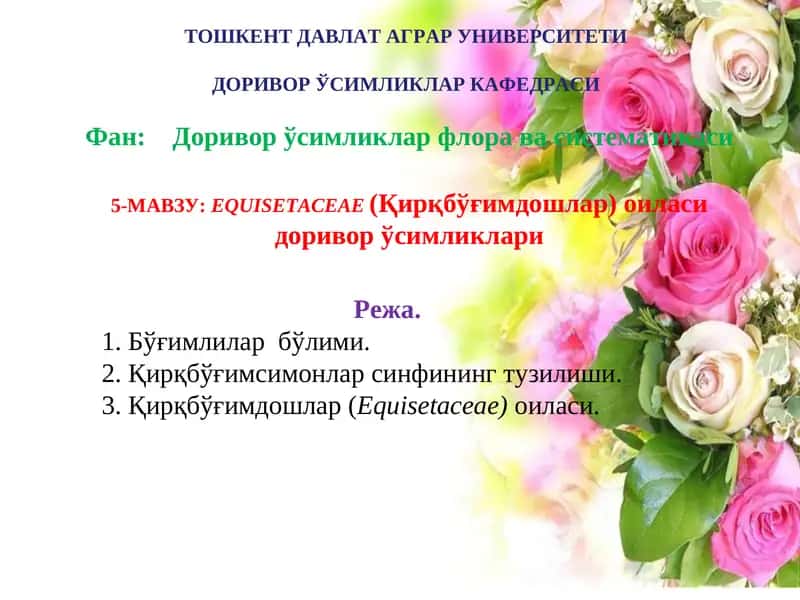 EQUISETACEAE(Қирқбўғимдошлар) оиласи доривор ўсимликлари