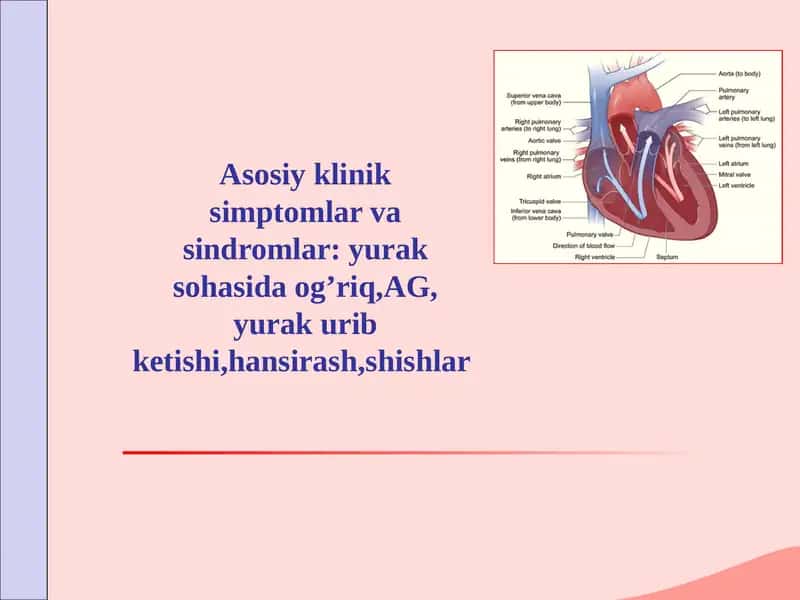 Asosiy kliniksimptomlar va sindromlar