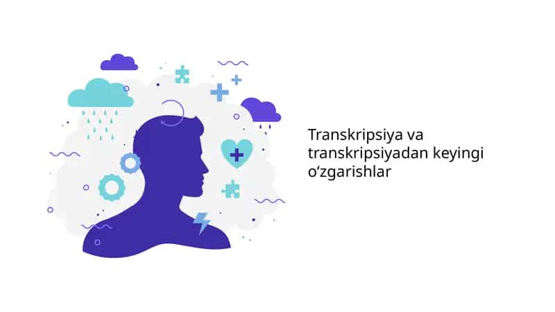 Transkripsiya va transkripsiyadan keyingi o‘zgarishlar