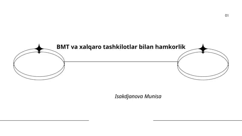 BMT va xalqaro tashkilotlar bilan hamkorlik