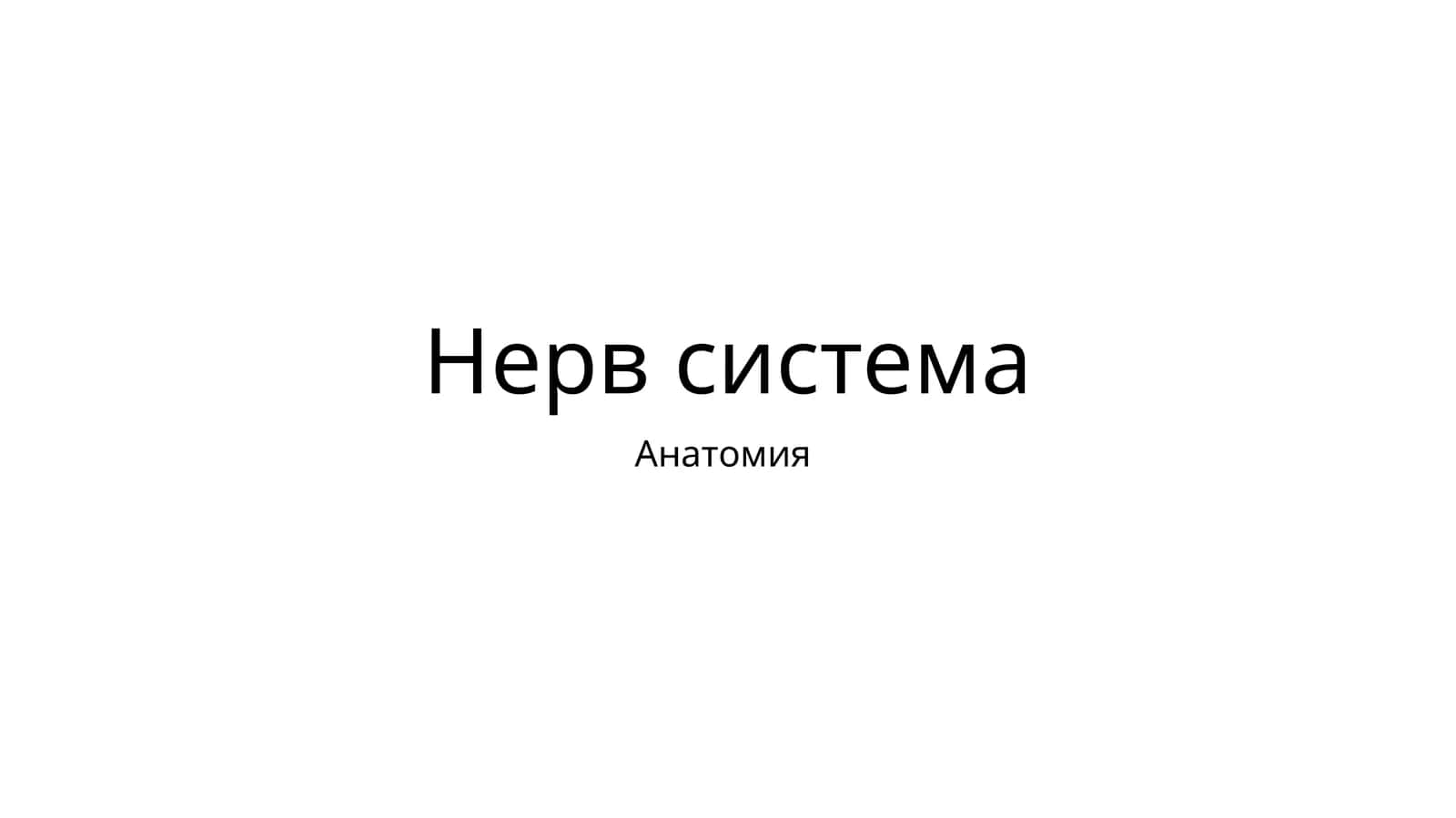 Нерв система